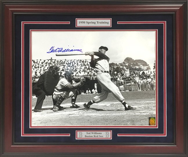 customtedwilliams16x20.jpg